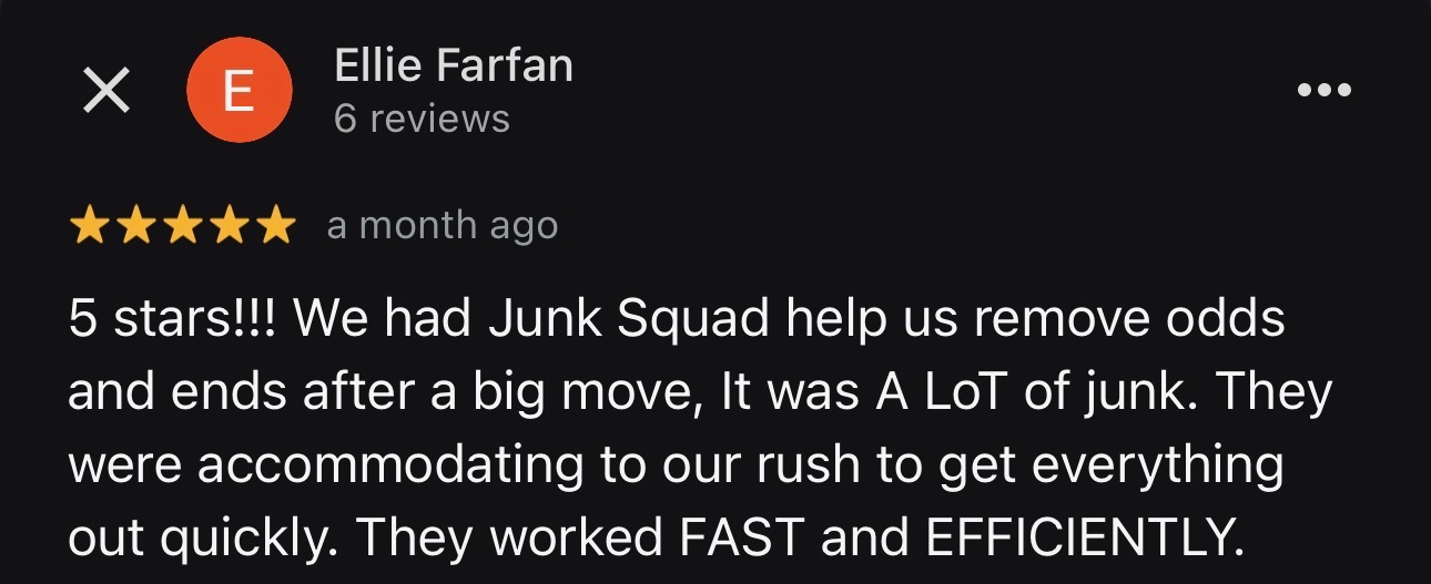 Google review screenshot 1